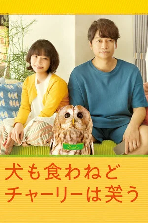 Постер: Everything Will Be Owlright!