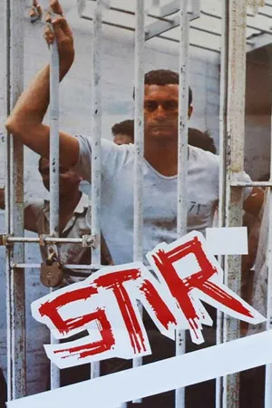 Постер: Stir