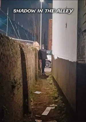 Постер: Shadow in the alley