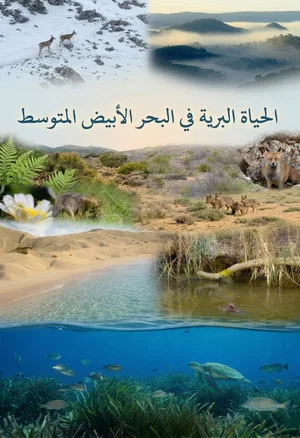 Постер: Wild Mediterranean