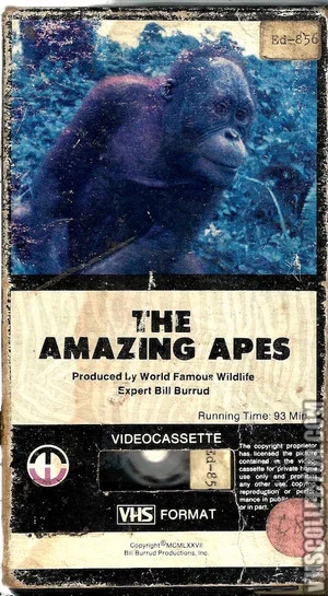 Постер: The Amazing Apes