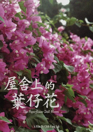 Постер: The Paperflower Still Blooms