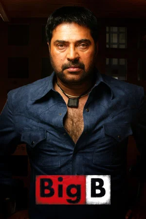 Постер: Big B