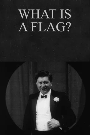 Постер: What Is a Flag?