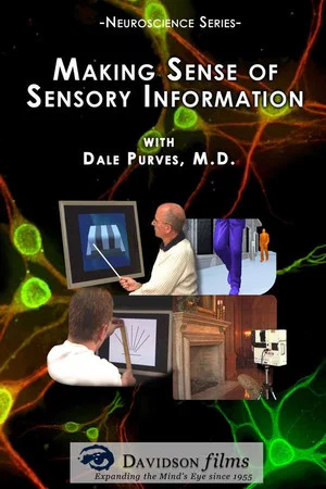 Постер: Making Sense of Sensory Information