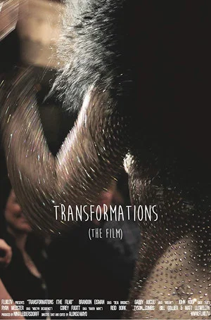 Постер: Transformations