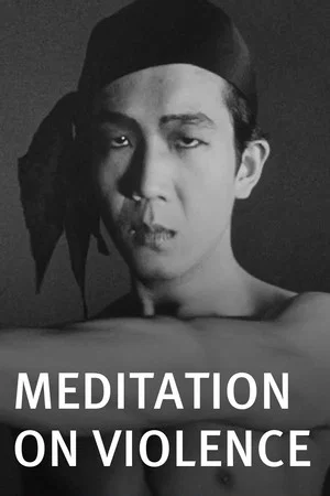 Постер: Meditation on Violence