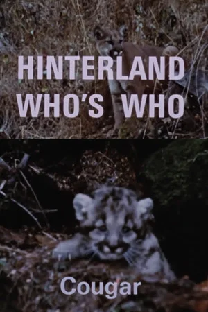 Постер: Hinterland Who's Who: Cougar
