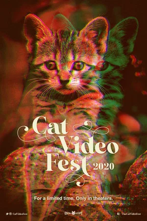 Постер: CatVideoFest 2020