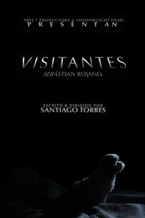 Постер: Visitors
