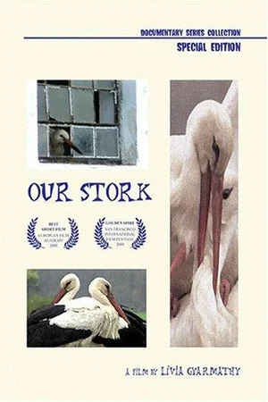 Постер: Our Stork