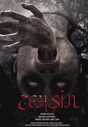 Постер: Zehşin Cin-i Musallat