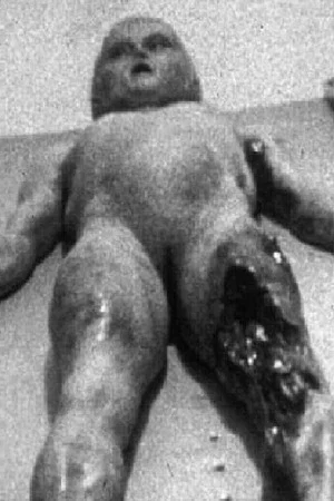 Постер: The Alien Autopsy