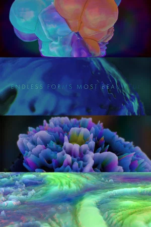Постер: Endless Forms Most Beautiful