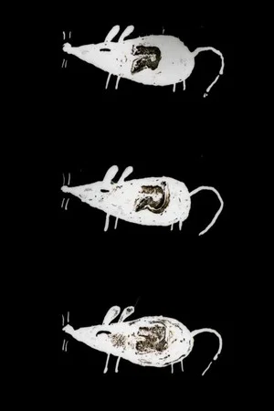 Постер: Trauma Chameleon