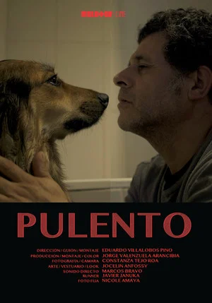 Постер: Pulento