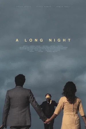 Постер: A Long Night
