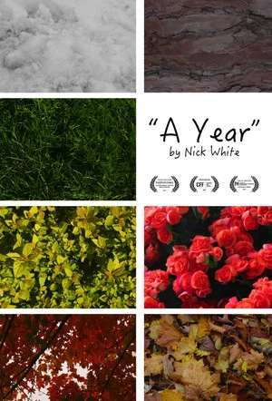 Постер: A Year
