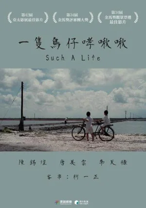 Постер: Such a life