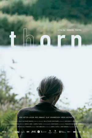 Постер: Thorn