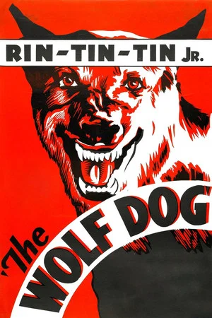 Постер: The Wolf Dog