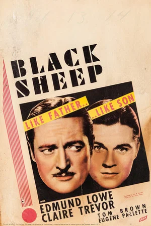 Постер: Black Sheep