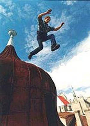 Постер: Roof Man