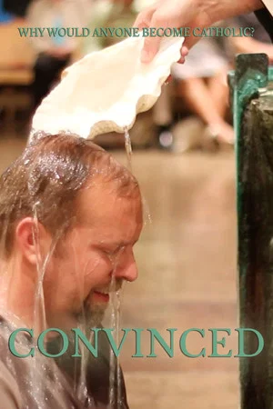 Постер: Convinced