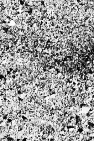 Постер: Ecosystem 26 ~ Vibrating Sand