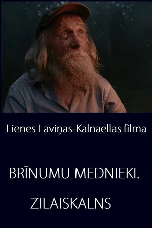 Постер: Miracle Hunters: Zilaiskalns