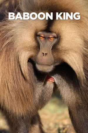 Постер: Baboon King