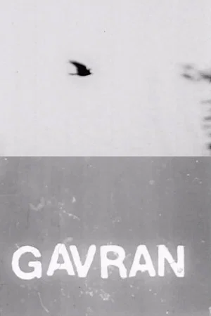 Постер: The Raven