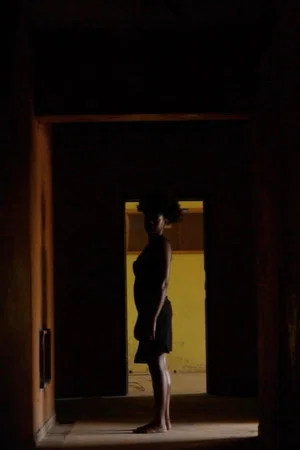 Постер: There Is No Light Inside the Mirror