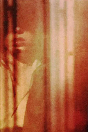 Постер: I Left My Silent House
