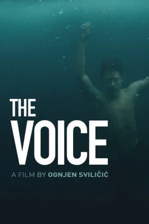 Постер: The Voice