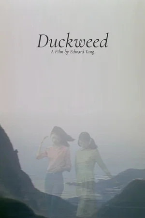 Постер: Duckweed