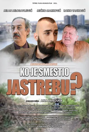 Постер: Who Set Hawk Up?