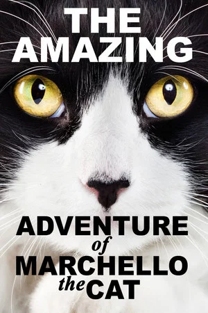 Постер: A Cat's Tale