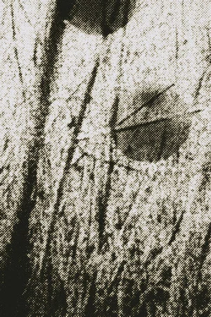 Постер: Across the Field