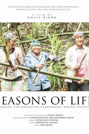 Постер: Seasons of Life