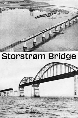 Постер: Storstrøm Bridge