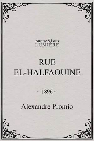 Постер: Rue El-Halfaouine