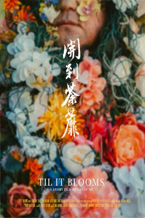 Постер: Til It Blooms