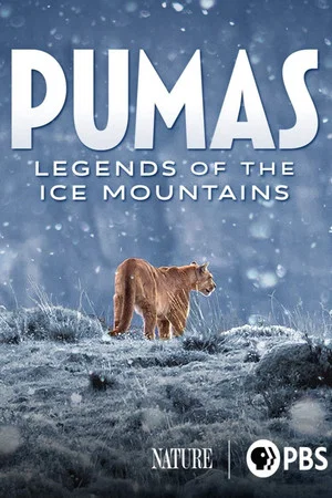 Постер: Pumas: Legends of the Ice Mountains