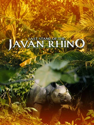 Постер: Last Stand Of The Javan Rhino