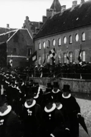 Постер: Ribe Cathedral Inauguration