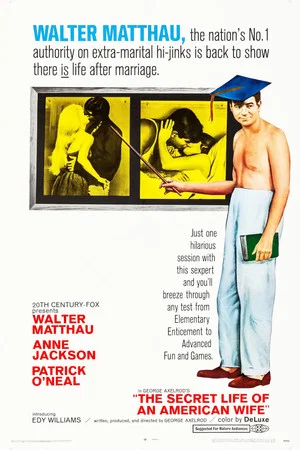 Постер: The Secret Life of an American Wife