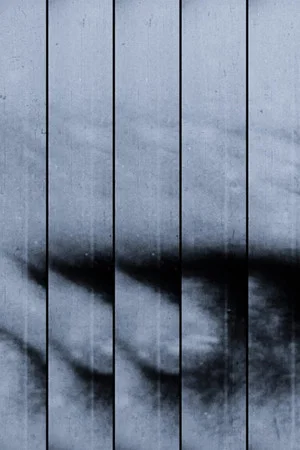 Постер: BordX2