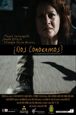 Постер: ¿Nos conocemos?
