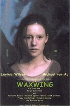 Постер: Waxwing